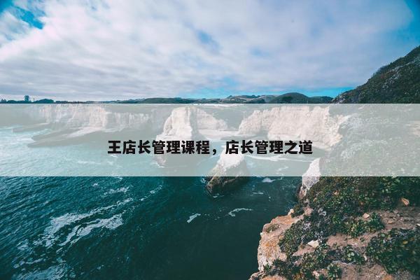 王店长管理课程，店长管理之道