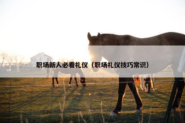 职场新人必看礼仪（职场礼仪技巧常识）