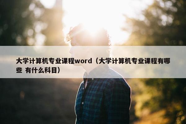 大学计算机专业课程word（大学计算机专业课程有哪些 有什么科目）