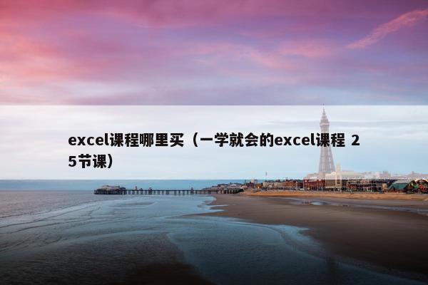 excel课程哪里买（一学就会的excel课程 25节课）