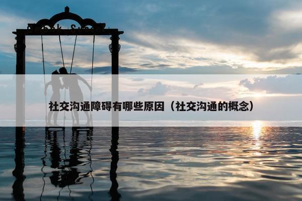 社交沟通障碍有哪些原因（社交沟通的概念）