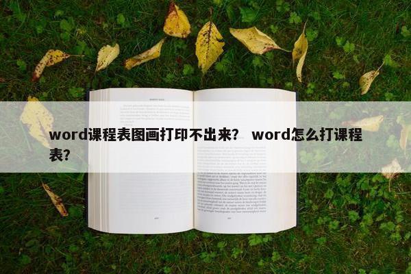 word课程表图画打印不出来？ word怎么打课程表？