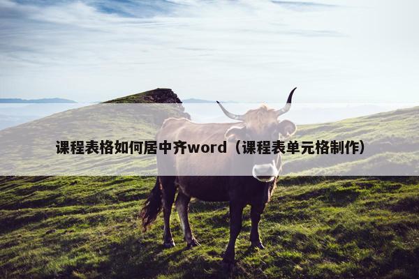 课程表格如何居中齐word（课程表单元格制作）
