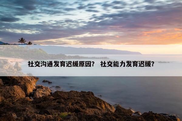 社交沟通发育迟缓原因？ 社交能力发育迟缓？