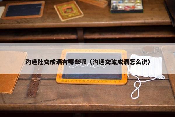 沟通社交成语有哪些呢（沟通交流成语怎么说）
