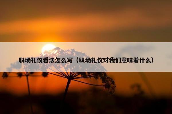 职场礼仪看法怎么写（职场礼仪对我们意味着什么）