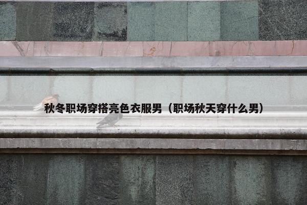 秋冬职场穿搭亮色衣服男（职场秋天穿什么男）