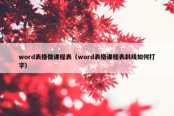 word表格做课程表（word表格课程表斜线如何打字）
