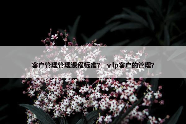 客户管理管理课程标准？ ⅴlp客户的管理？