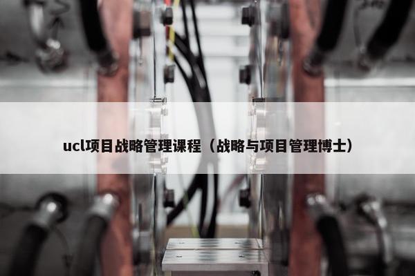 ucl项目战略管理课程（战略与项目管理博士）