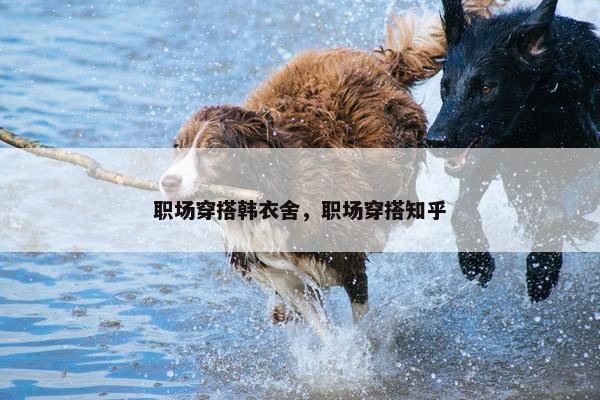 职场穿搭韩衣舍，职场穿搭知乎