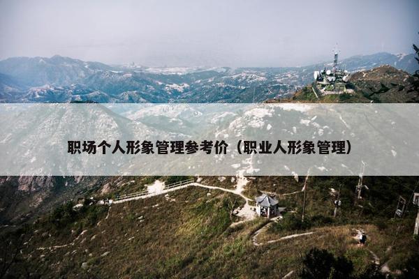 职场个人形象管理参考价（职业人形象管理）