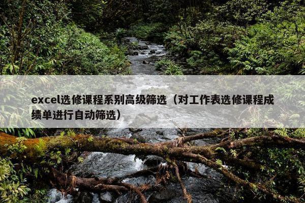 excel选修课程系别高级筛选（对工作表选修课程成绩单进行自动筛选）