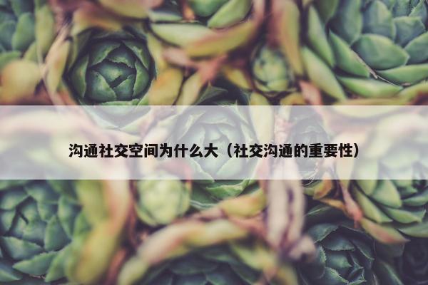 沟通社交空间为什么大（社交沟通的重要性）