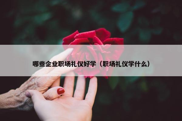 哪些企业职场礼仪好学（职场礼仪学什么）