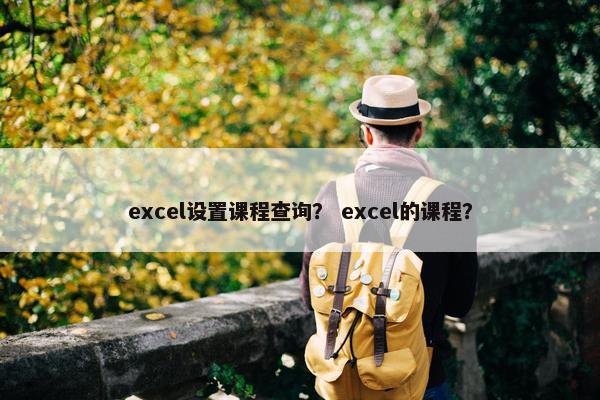 excel设置课程查询？ excel的课程？