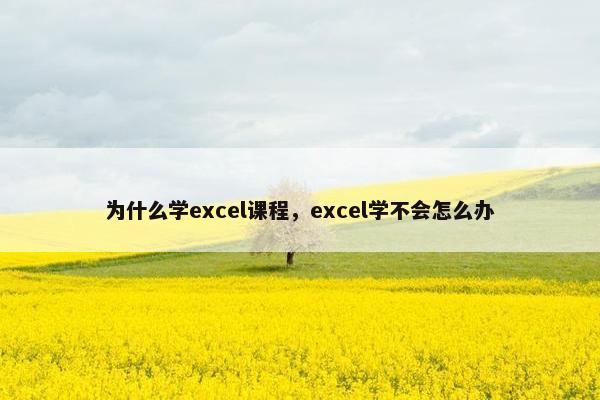 为什么学excel课程，excel学不会怎么办