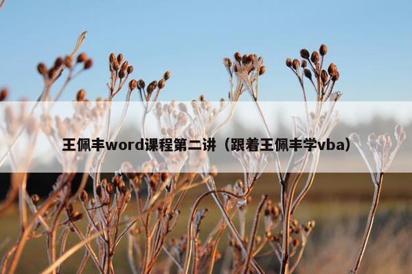 王佩丰word课程第二讲（跟着王佩丰学vba）