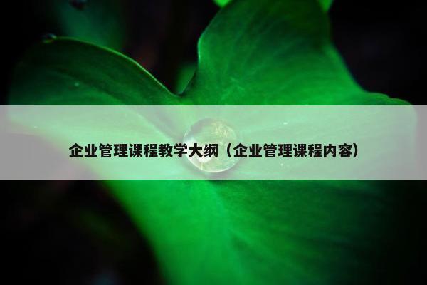 企业管理课程教学大纲（企业管理课程内容）
