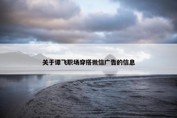 关于谭飞职场穿搭微信广告的信息