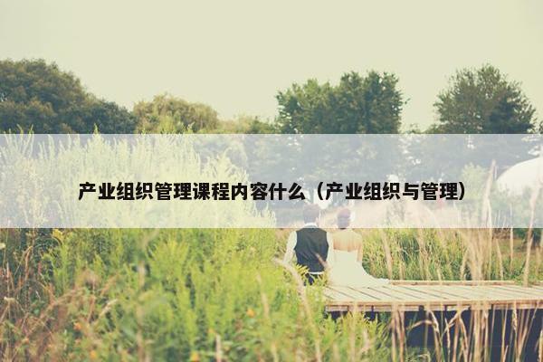 产业组织管理课程内容什么（产业组织与管理）