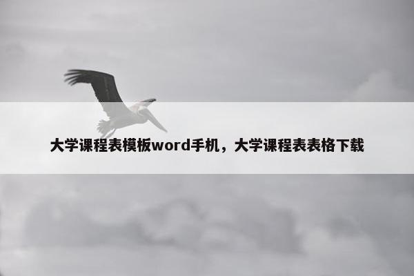 大学课程表模板word手机，大学课程表表格下载