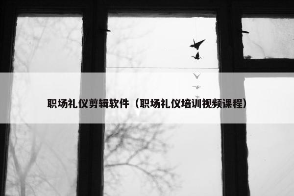 职场礼仪剪辑软件（职场礼仪培训视频课程）