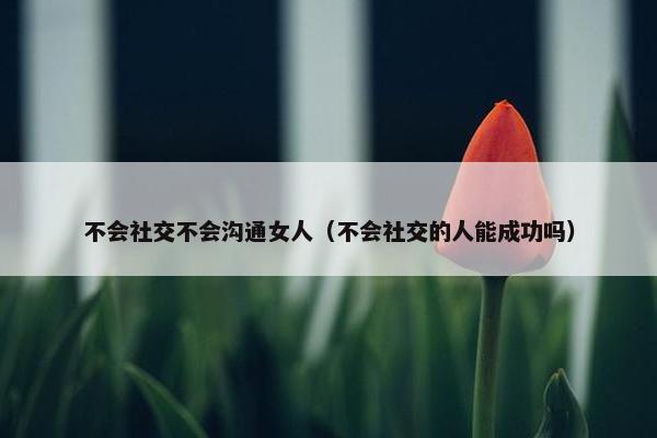 不会社交不会沟通女人（不会社交的人能成功吗）