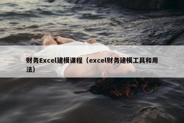 财务Excel建模课程（excel财务建模工具和用法）