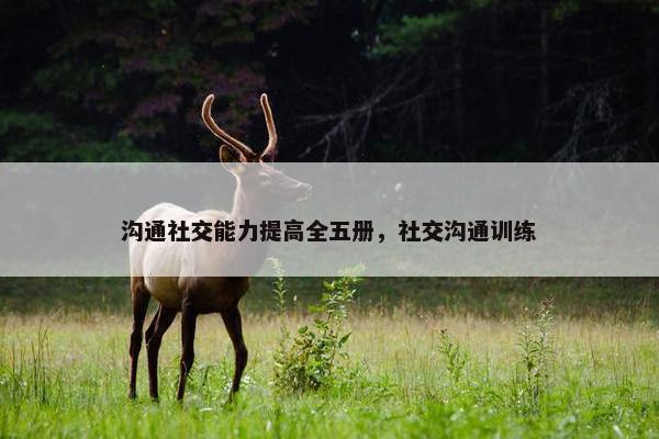 沟通社交能力提高全五册，社交沟通训练