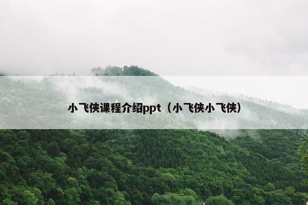 小飞侠课程介绍ppt（小飞侠小飞侠）