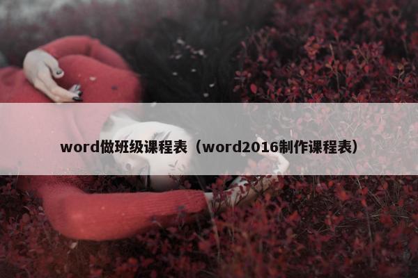 word做班级课程表（word2016制作课程表）