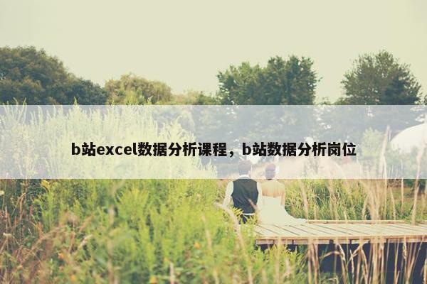 b站excel数据分析课程，b站数据分析岗位