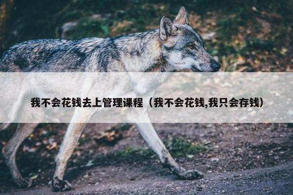 我不会花钱去上管理课程（我不会花钱,我只会存钱）