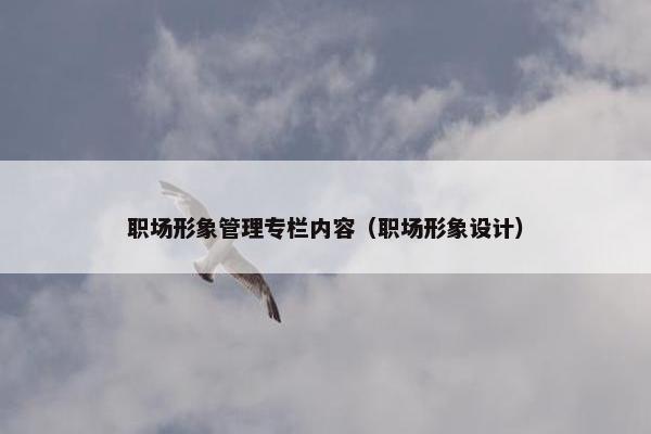 职场形象管理专栏内容（职场形象设计）