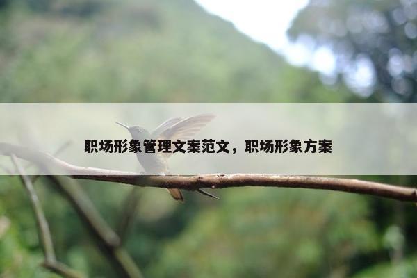 职场形象管理文案范文，职场形象方案