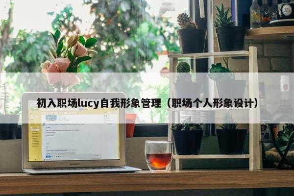 初入职场lucy自我形象管理（职场个人形象设计）
