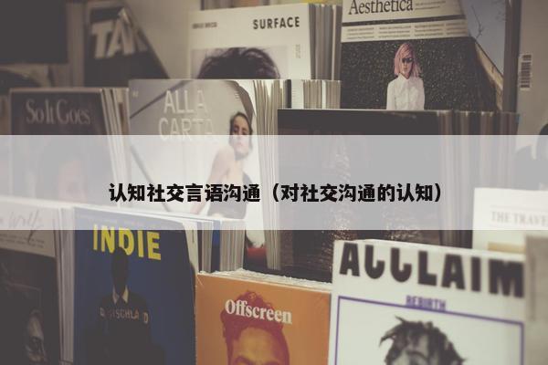 认知社交言语沟通（对社交沟通的认知）