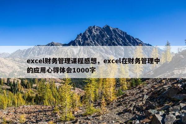 excel财务管理课程感想，excel在财务管理中的应用心得体会1000字