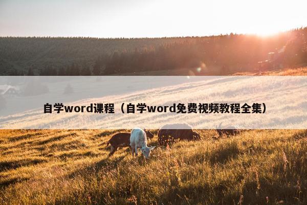 自学word课程（自学word免费视频教程全集）