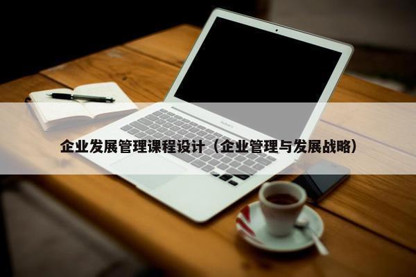 企业发展管理课程设计（企业管理与发展战略）