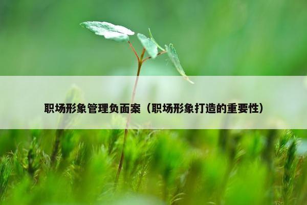 职场形象管理负面案（职场形象打造的重要性）