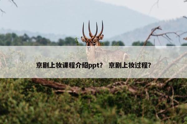 京剧上妆课程介绍ppt？ 京剧上妆过程？
