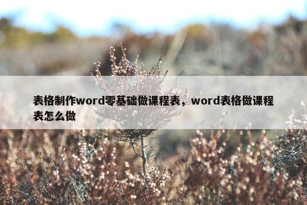 表格制作word零基础做课程表，word表格做课程表怎么做