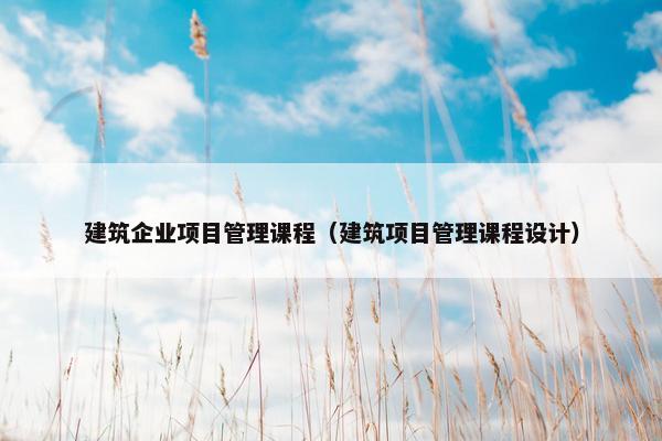 建筑企业项目管理课程（建筑项目管理课程设计）