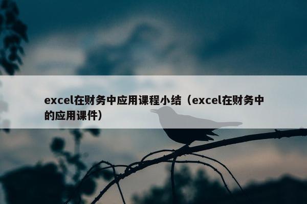 excel在财务中应用课程小结（excel在财务中的应用课件）