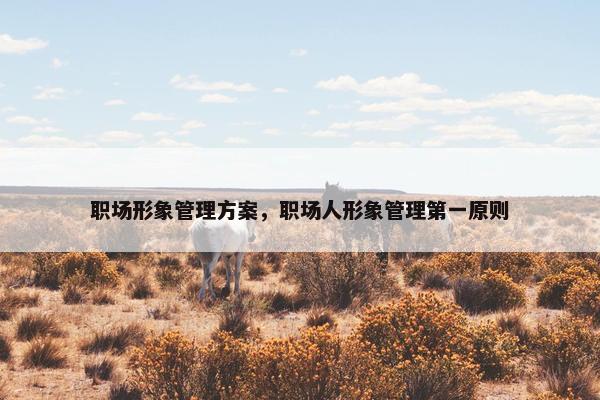 职场形象管理方案，职场人形象管理第一原则