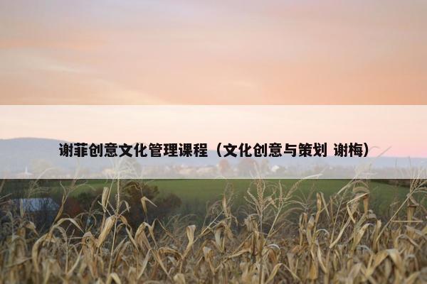 谢菲创意文化管理课程（文化创意与策划 谢梅）