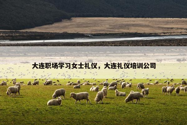 大连职场学习女士礼仪，大连礼仪培训公司
