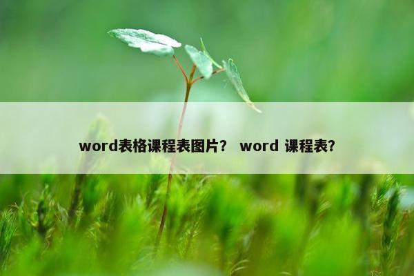 word表格课程表图片？ word 课程表？